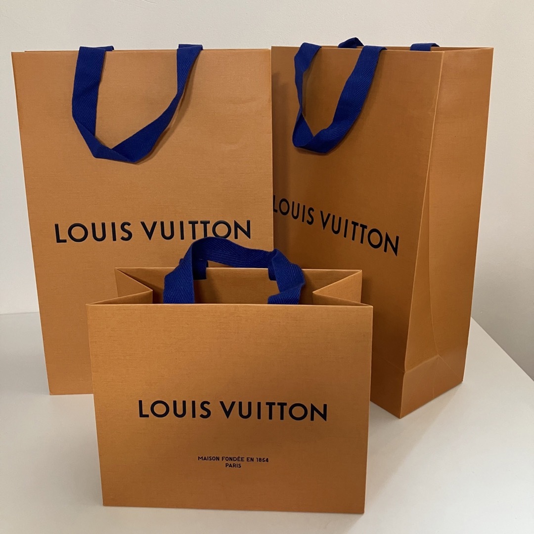 LOUIS VUITTON - ルイヴィトン ショッパー 中〜小サイズ 5枚セットの
