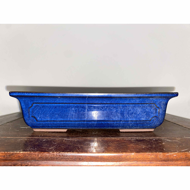 盆栽鉢 MIZUTANI 長方 青 釉 小品盆栽 雑木 多肉植物 草花 園芸 鉢の