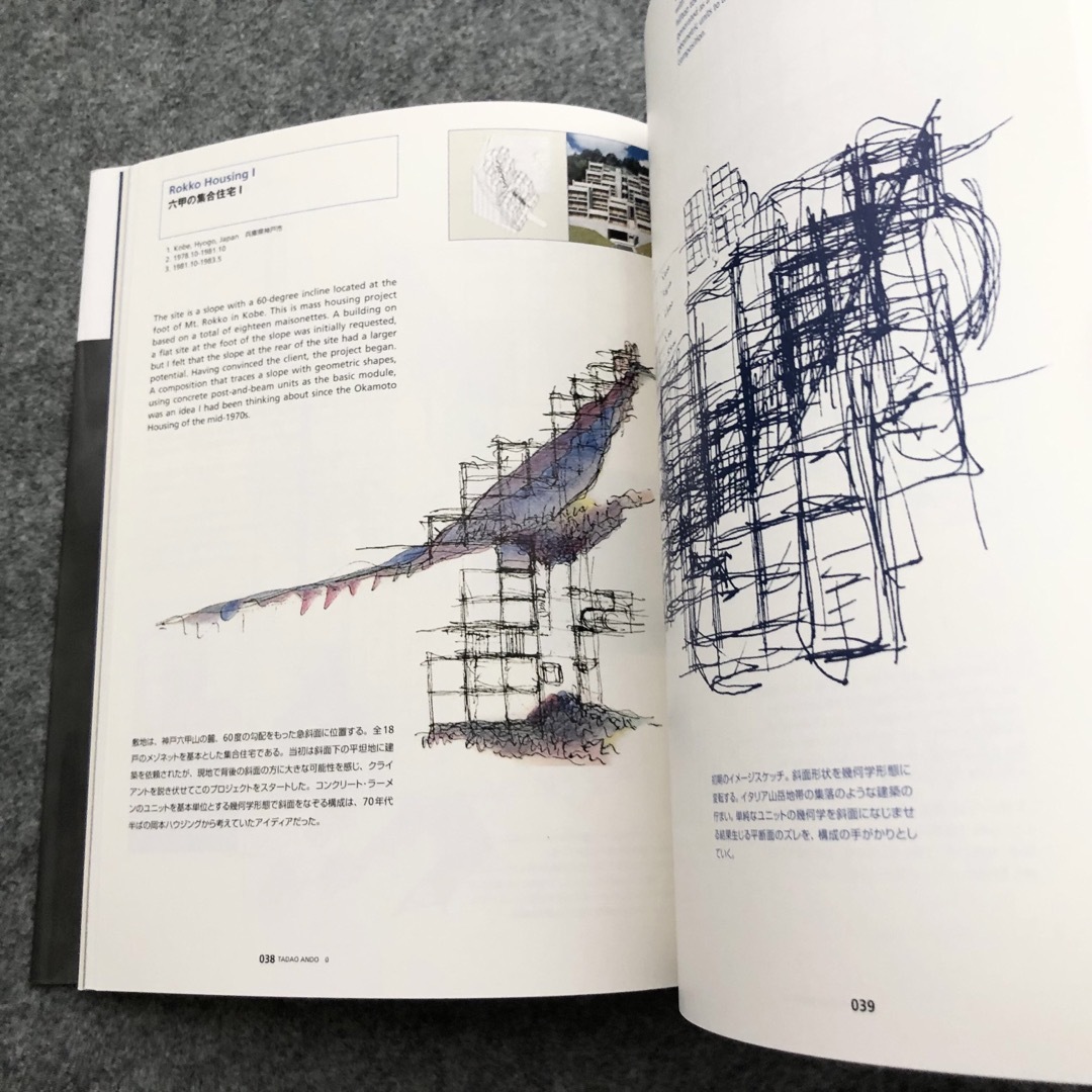 安藤忠雄【兵庫県立美術館 青いりんご サイン・ドローイング付】安藤