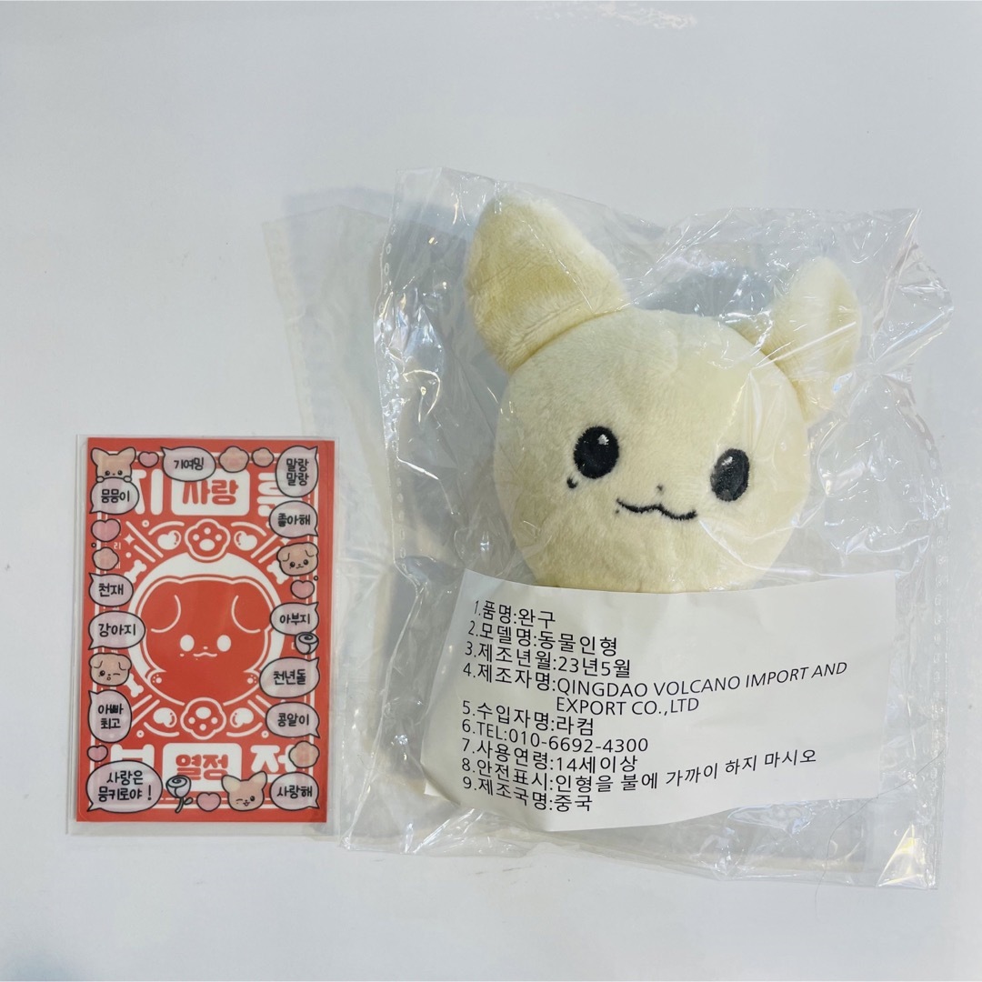 TREASURE - マスター treasure ジフン ぬいぐるみ 人形 ドール jihoon