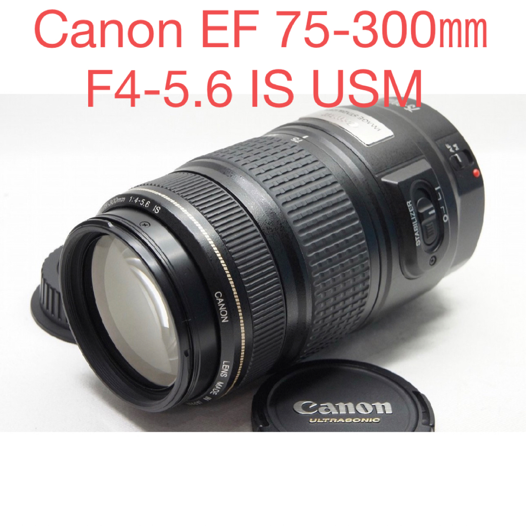 運動会～旅行まで万能に活躍⭐手振れ補正⭐Canon 55-250mm望遠レンズ