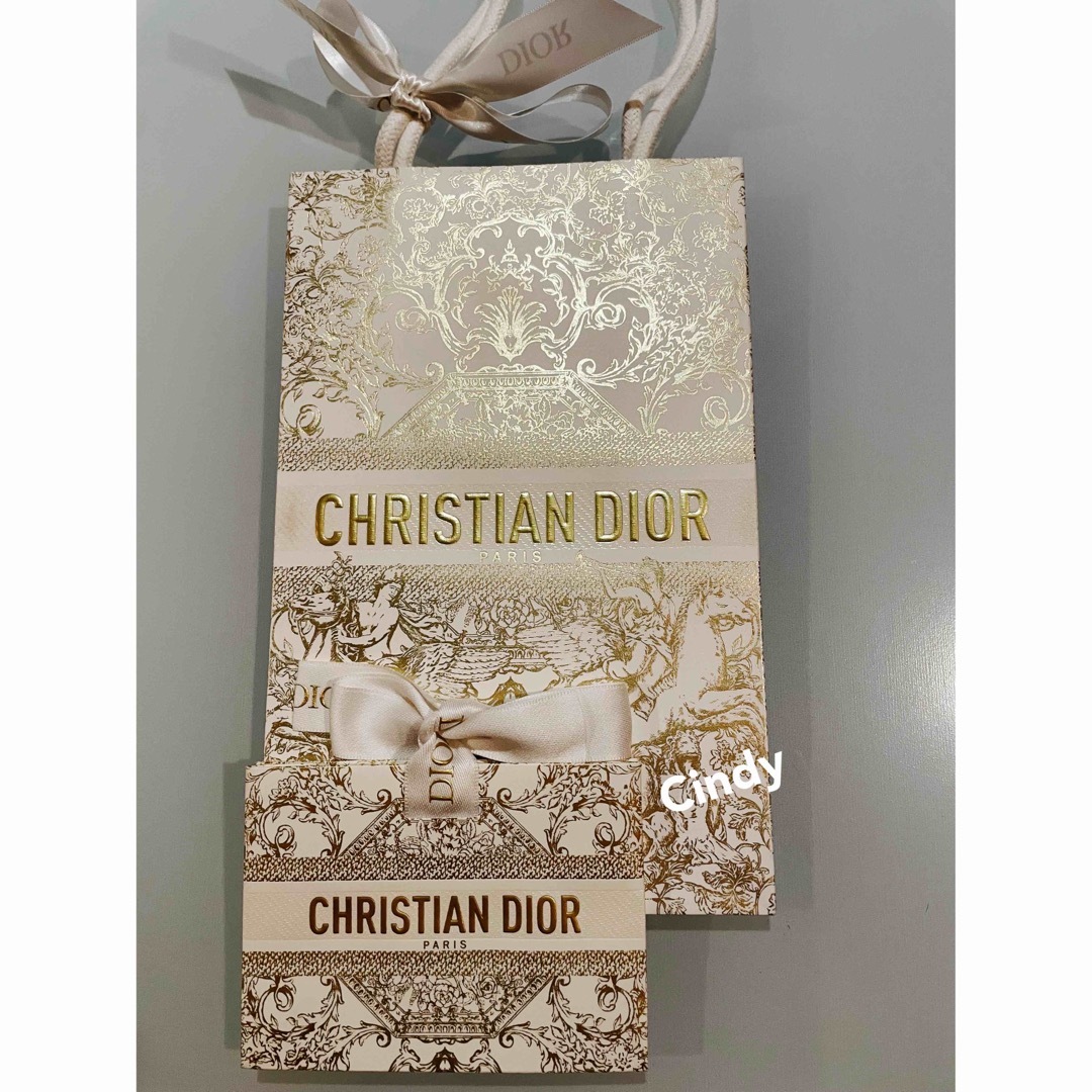 Christian Dior - DIOR ディオール 2023ホリデー限定 ショッパー