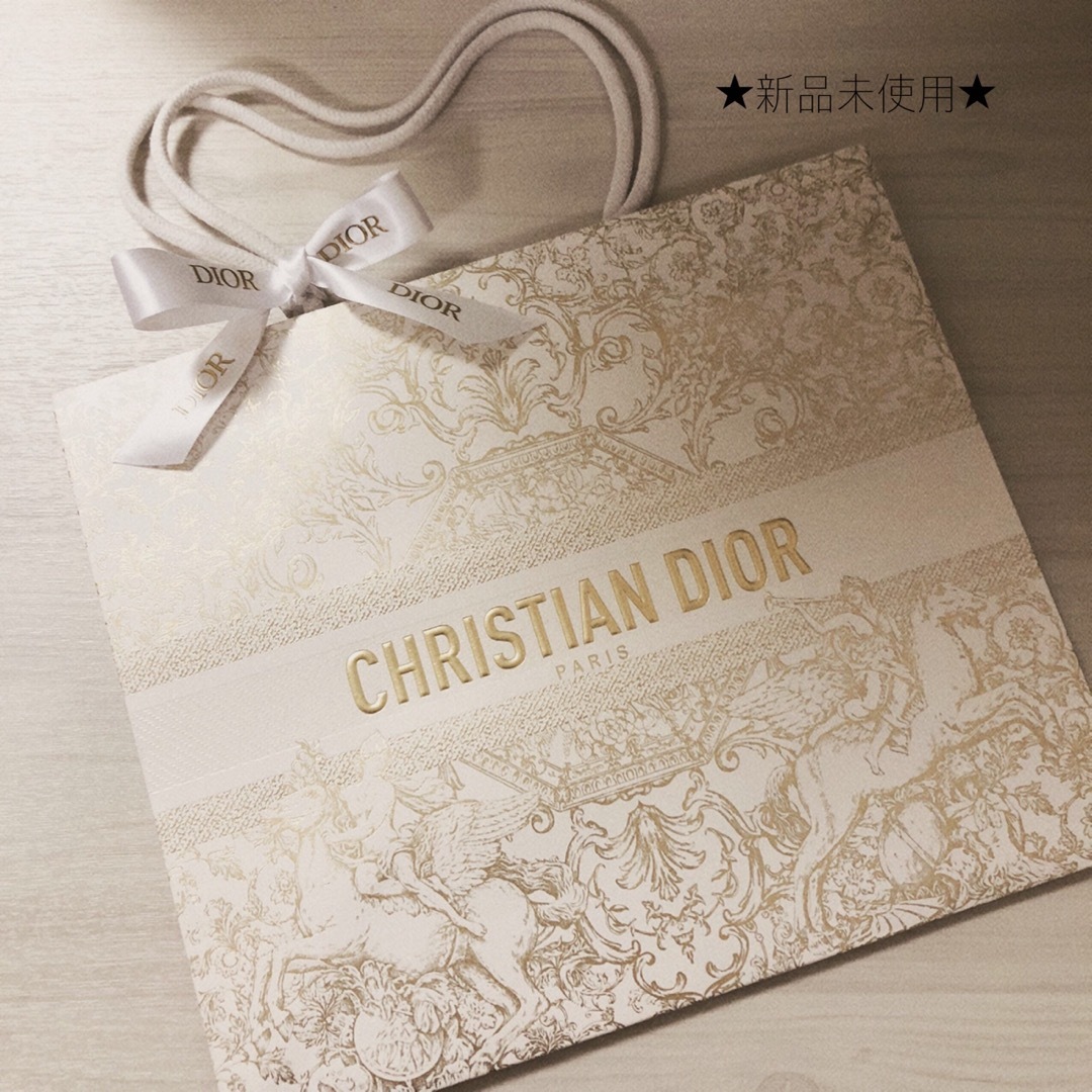 Christian Dior - 新品未使用☆DIOR☆紙袋 ショッパー ホリデー限定