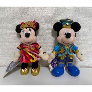 Disney - ☆美品☆ディズニーリゾート☆35周年☆ぬいぐるみバッジの