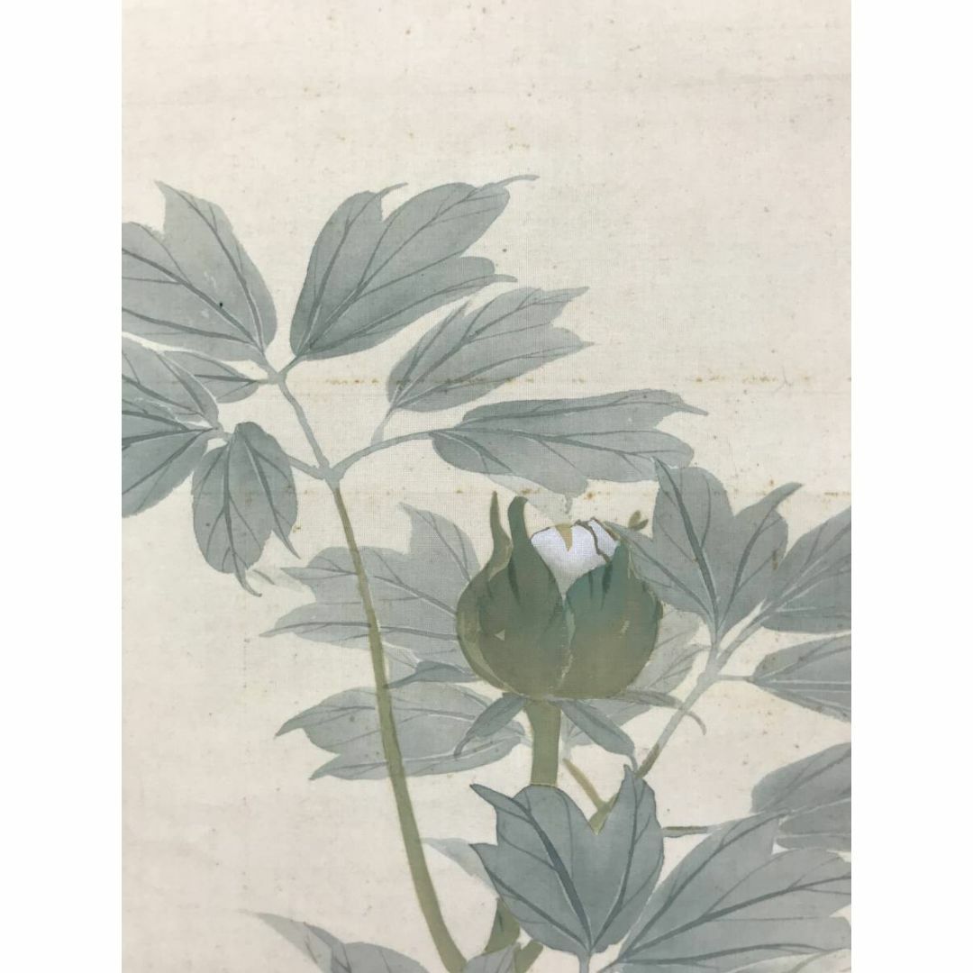 生駒石渓/牡丹に雀図/花鳥図/掛軸☆宝船☆AC-500の通販 by 掛軸✩宝船