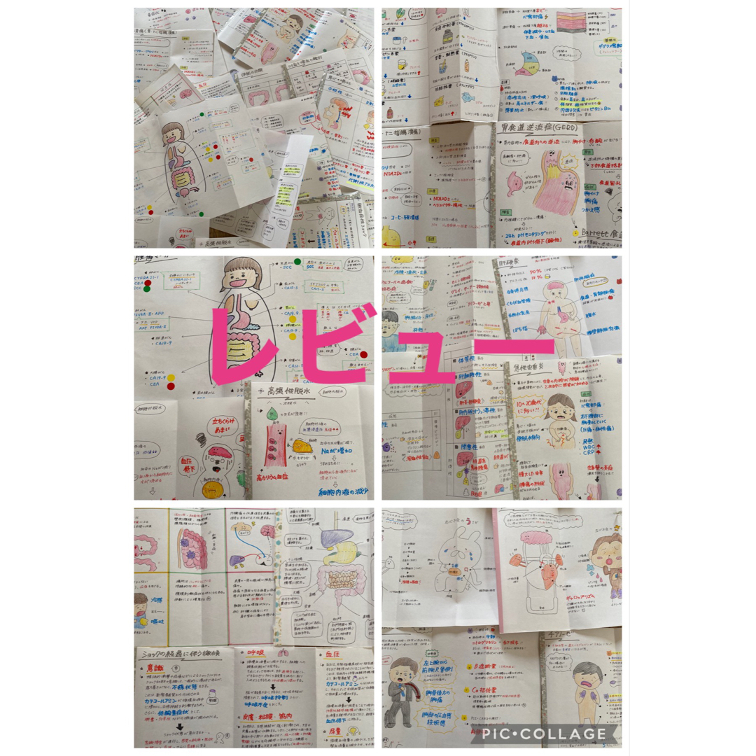 看護師国家試験対策【4点セット！】これで合格！お得セット！看護学生