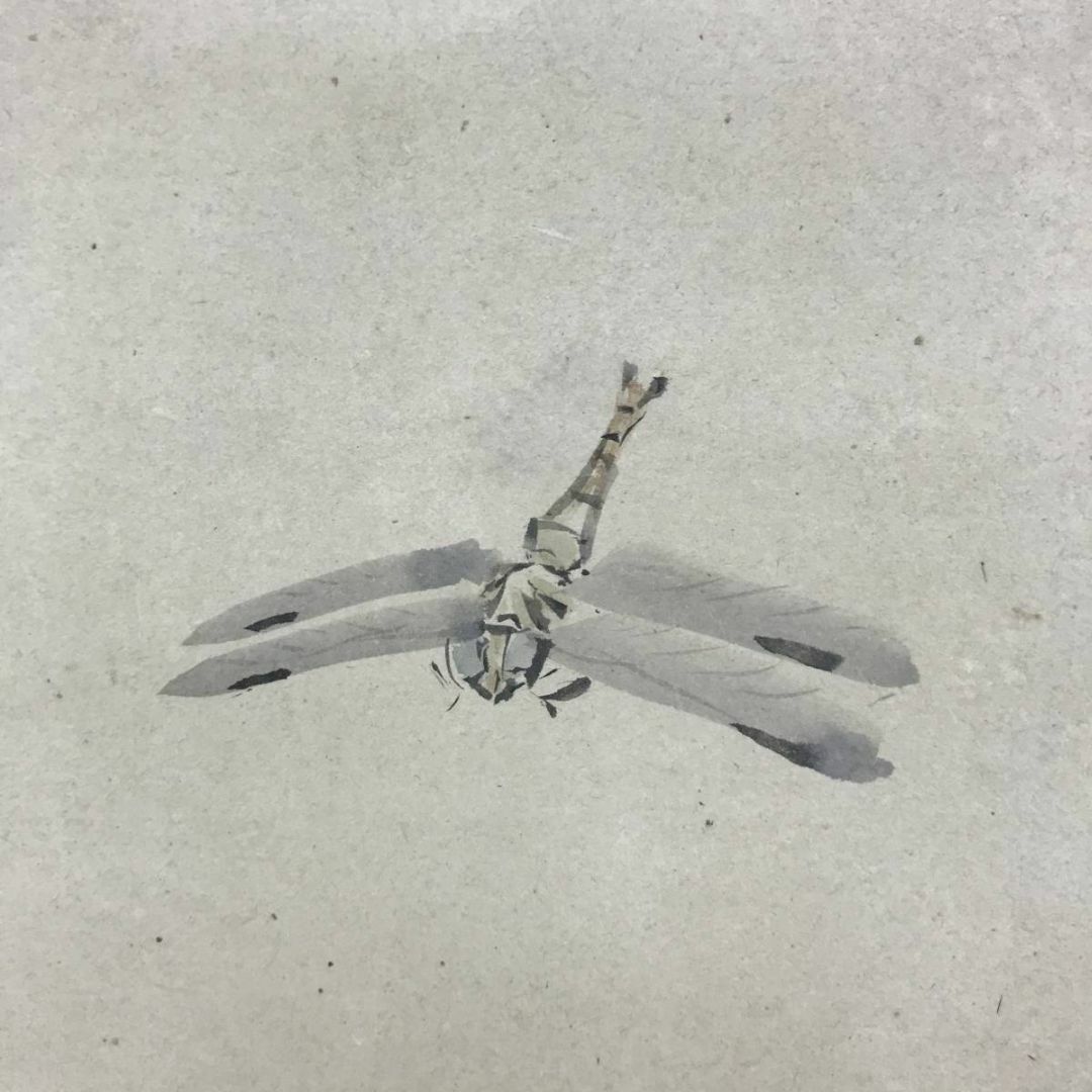 真作】古市金峨/菊に蜻蛉図/トンボ図/花鳥図/掛軸☆宝船☆AD-586の通販