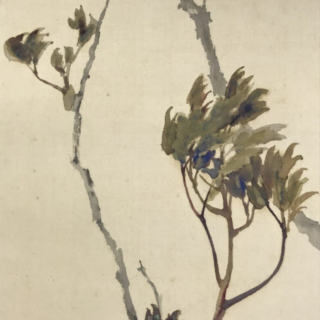 真作/藤井松山/芽牡丹図/牡丹図/花図/横物/掛軸☆宝船