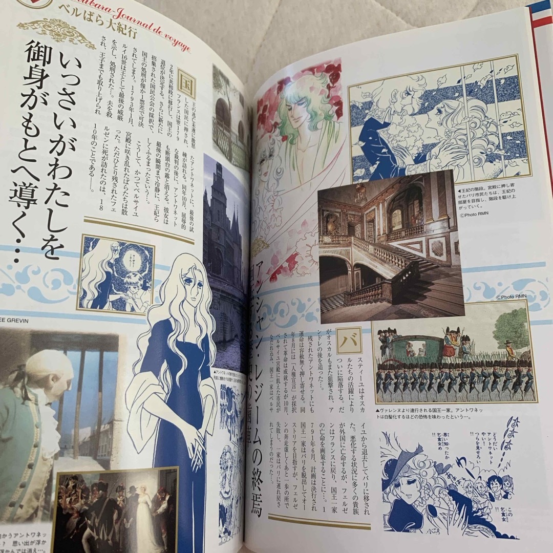 ベルサイユのばら大事典の通販 by りすちゃん's shop｜ラクマ