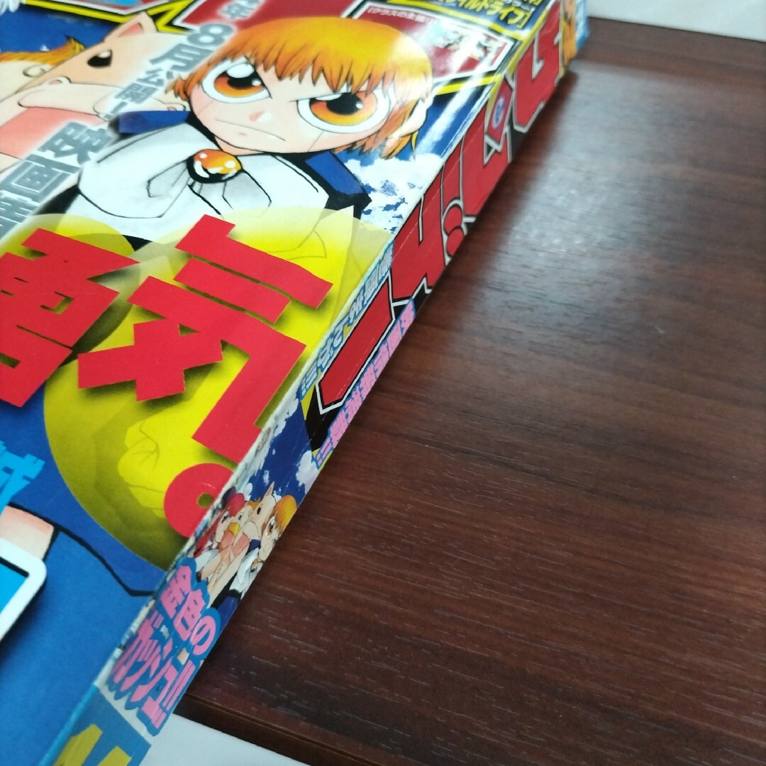 激レア】週刊少年サンデー 2004年 14号 金色のガッシュ！！ ポスター