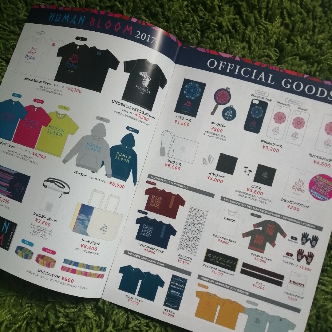 RADWIMPS 2017 LIVE ライブ 冊子 グッズ掲載 情報誌の通販 by くるり's