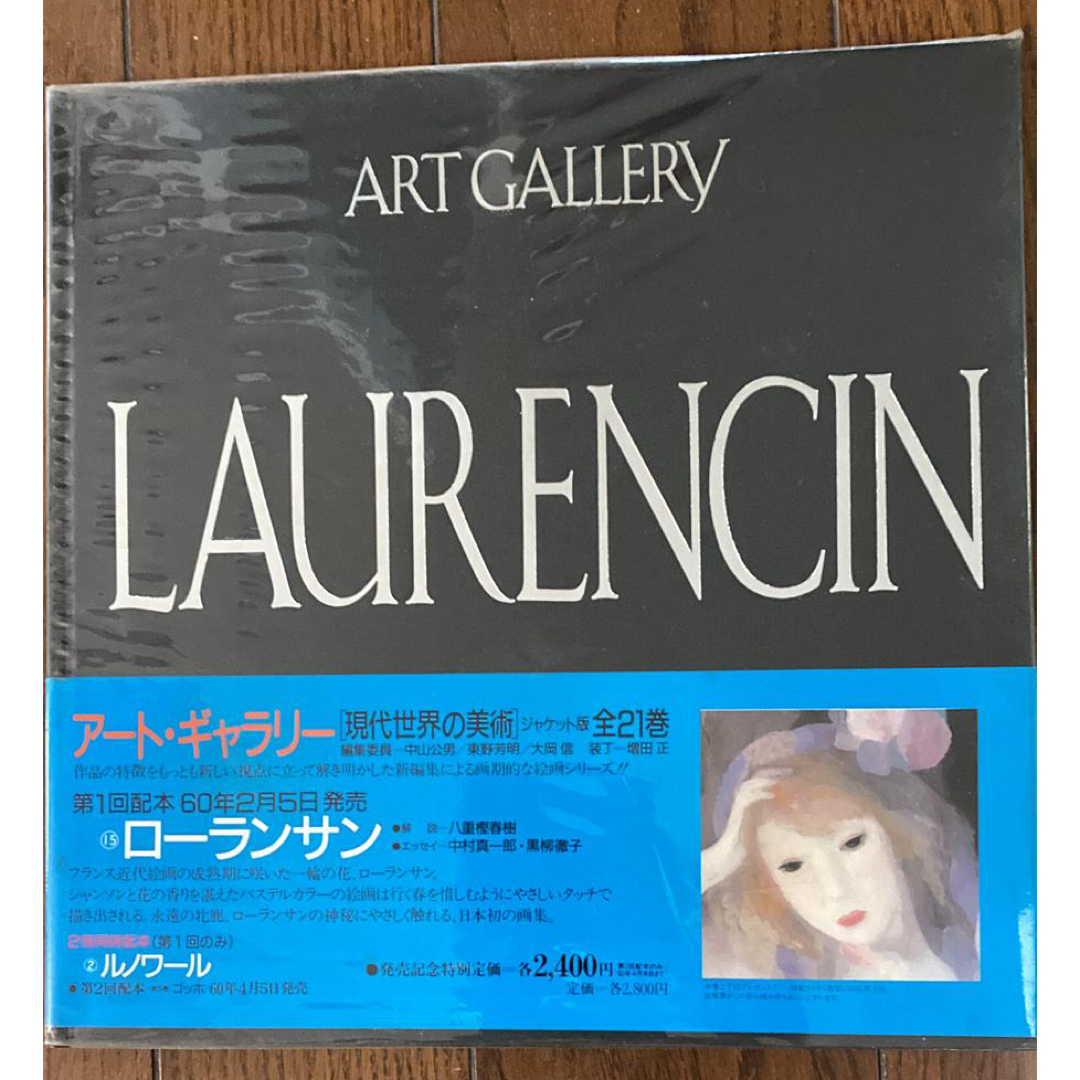 アート・ギャラリー 現代世界の美術 1〜21巻 全巻セット 初版 集英社