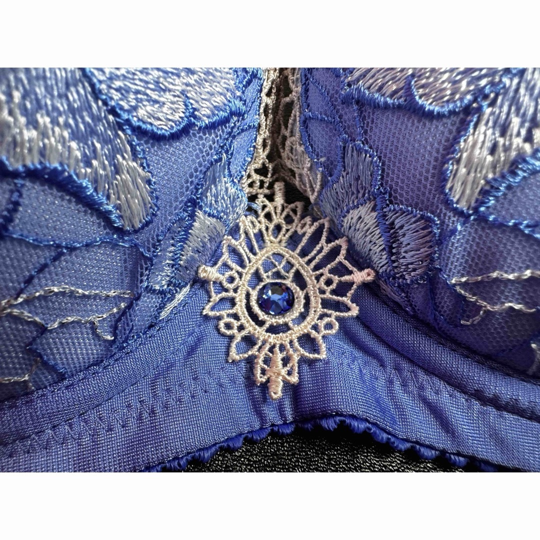 Wacoal - サルート 76グループ 空中庭園 C75&ソングM LG リッチ