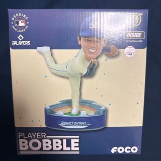 2492434151.jpg?1737985078