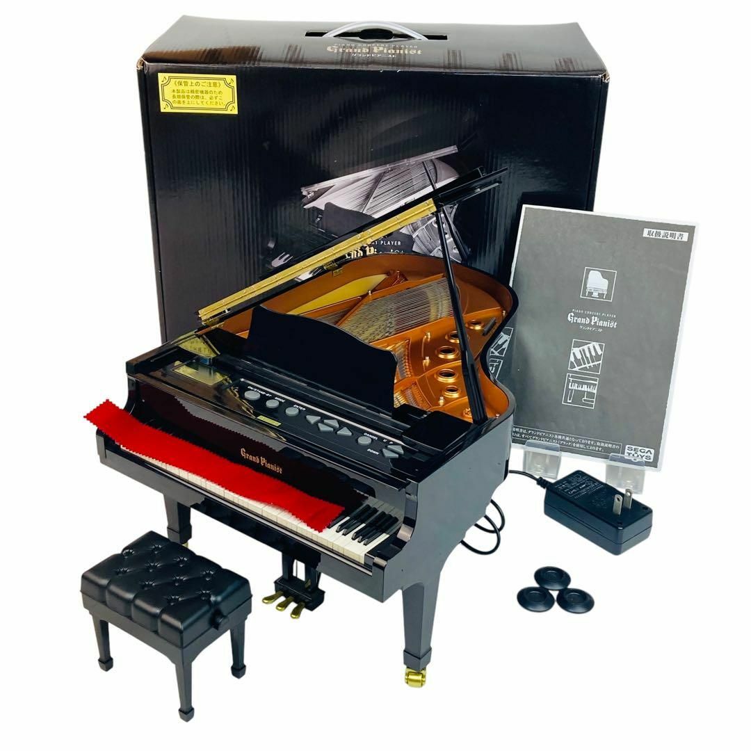 Grand Pianist ピアノコンサートプレイヤー Grand Pianist ピアノ