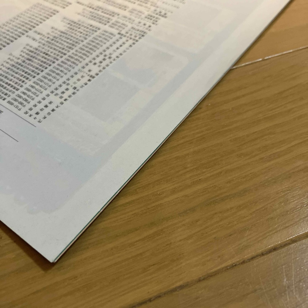 2001/2002年 代々木ゼミナール 代ゼミ サテラインゼミ パンフレットの