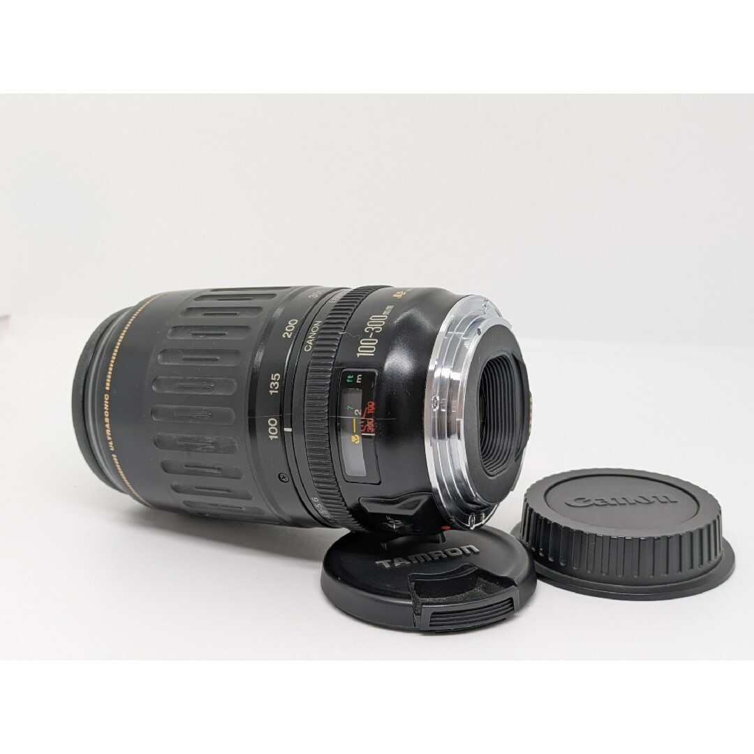 6月25日限定価格【超望遠レンズ】Canon EF 100-300mm USM
