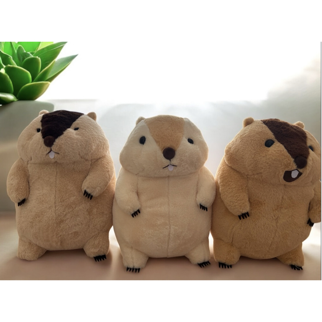 マーモットのもっとっと ウルトラBIG3種