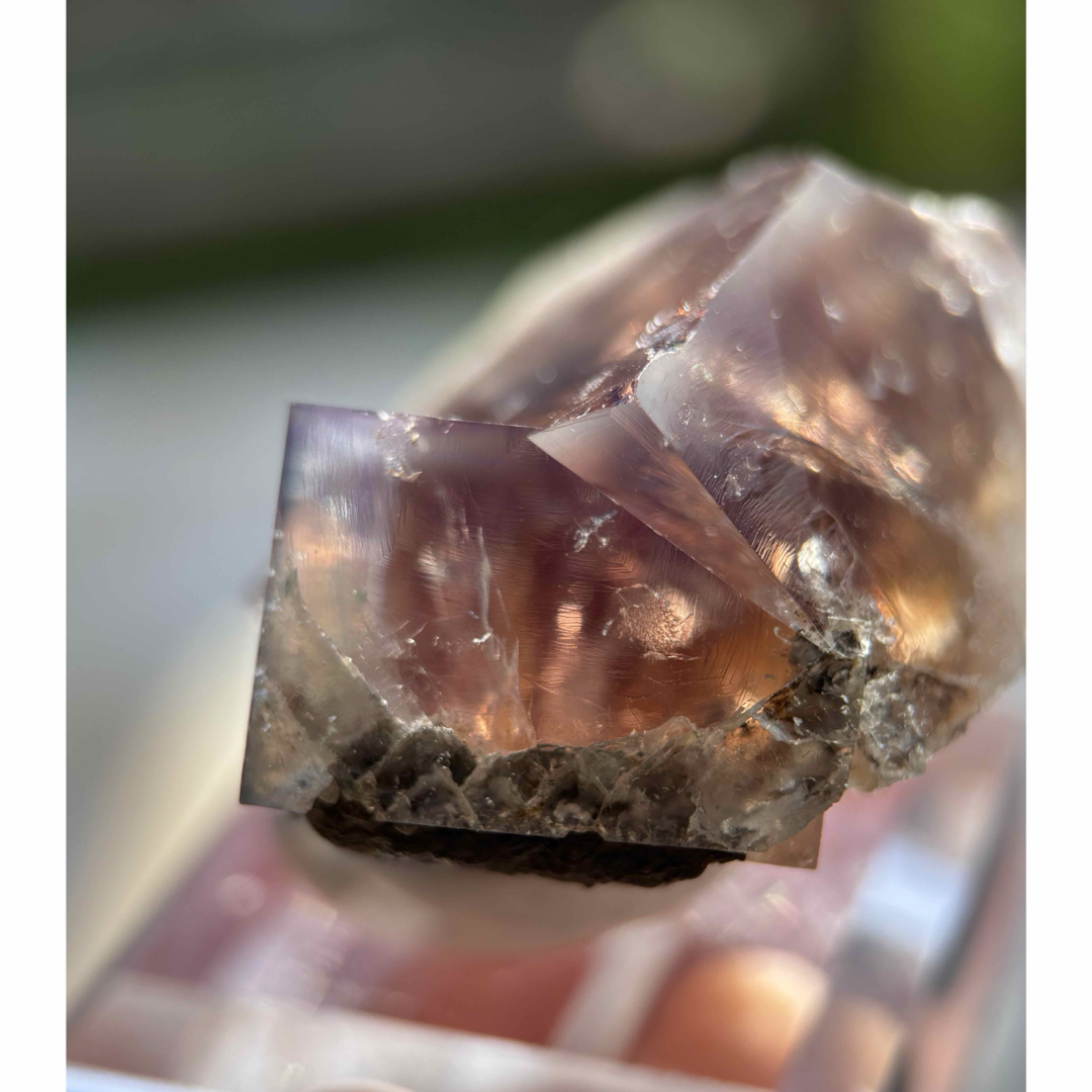 sherry twins pocketの通販 by ごま'sみねらる｜ラクマ