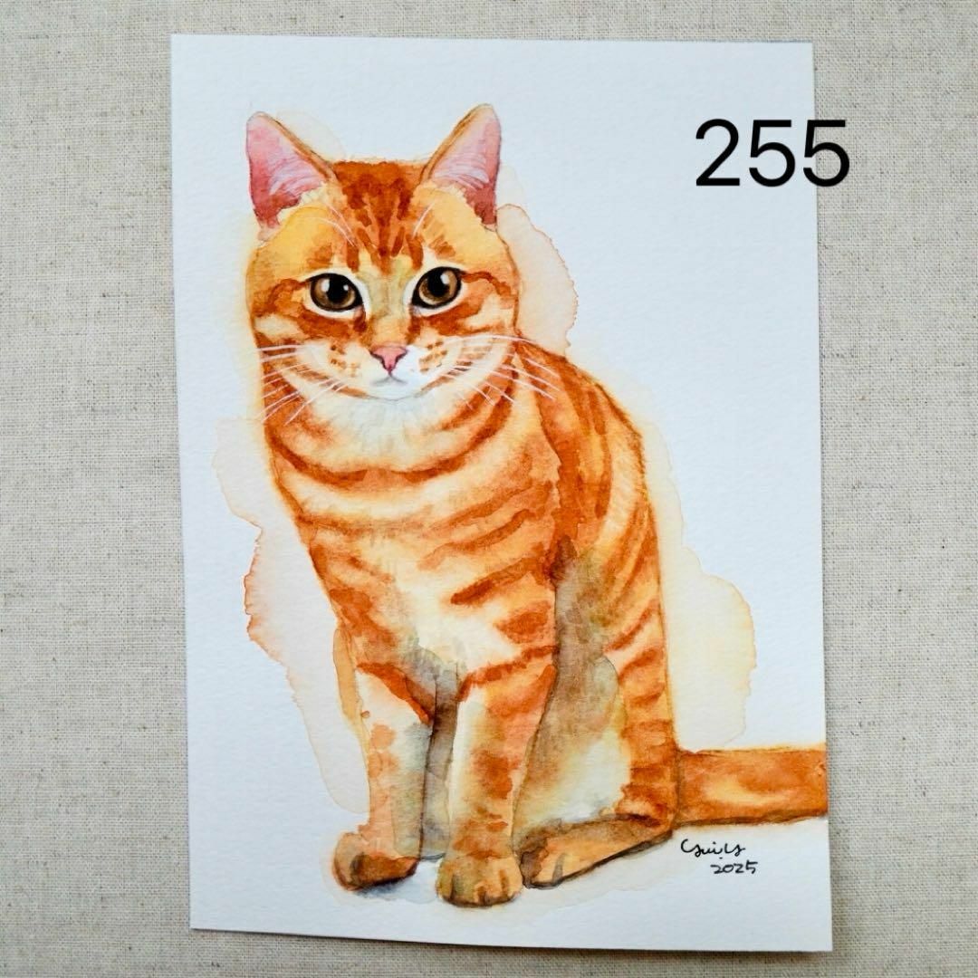 猫の絵255 水彩画 原画 茶トラの通販 by yui's shop｜ラクマ