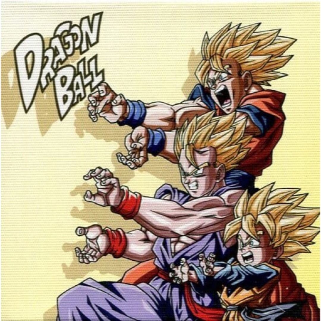 ドラゴンボールZ 親子三代かめはめ波 悟空＆悟飯＆悟天 キャンバス