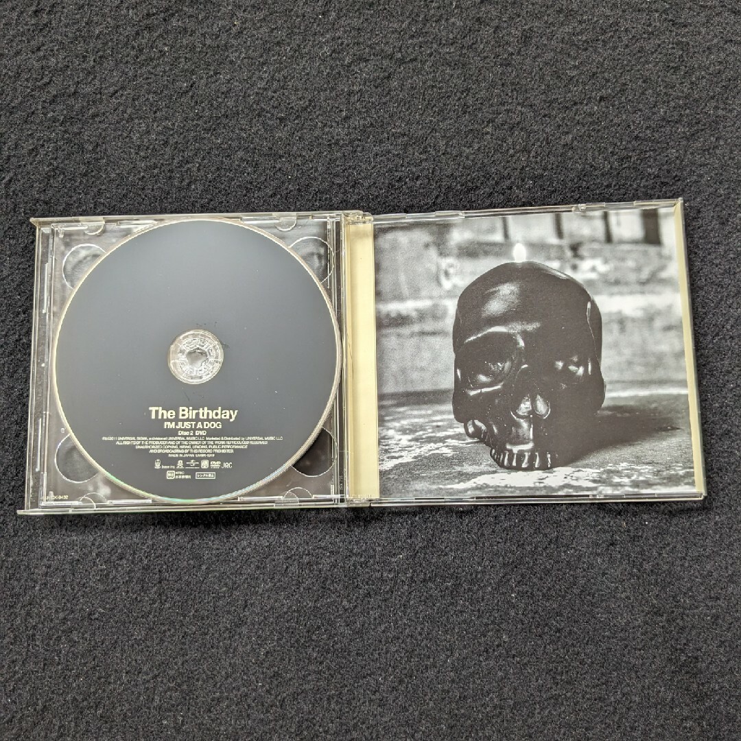 The Birthday 涙がこぼれそう DVD LIVE ライブ チバユウスケの通販 by