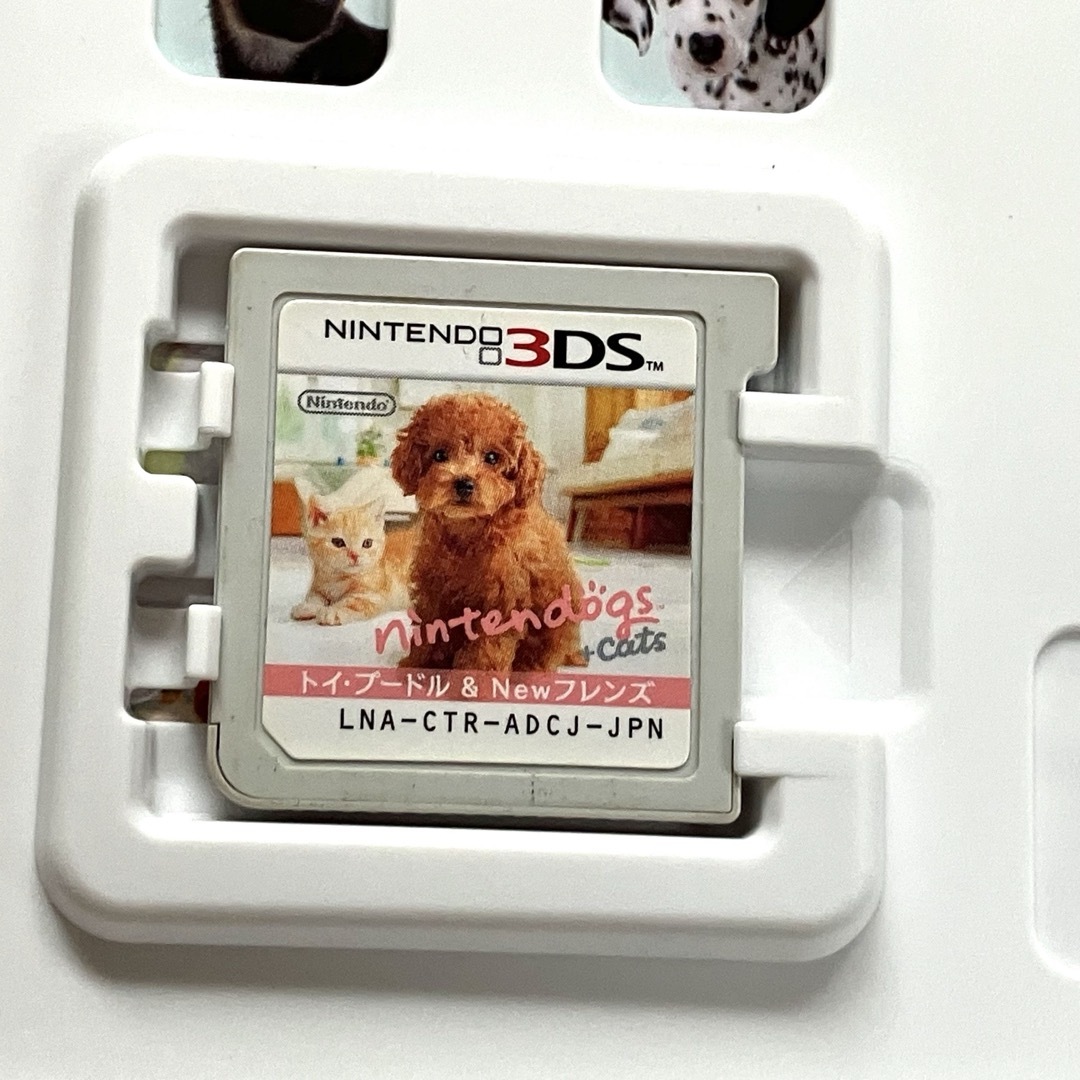 Nintendo Switch - リトルフレンズ パピーアイランド ニンテンドックス