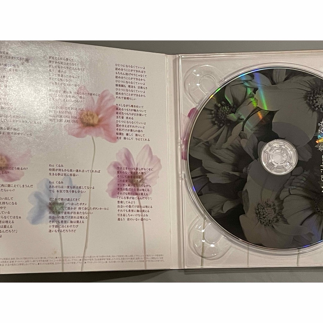 Mr.Children - 掌／くるみの通販 by 茶々丸's shop｜ミスター