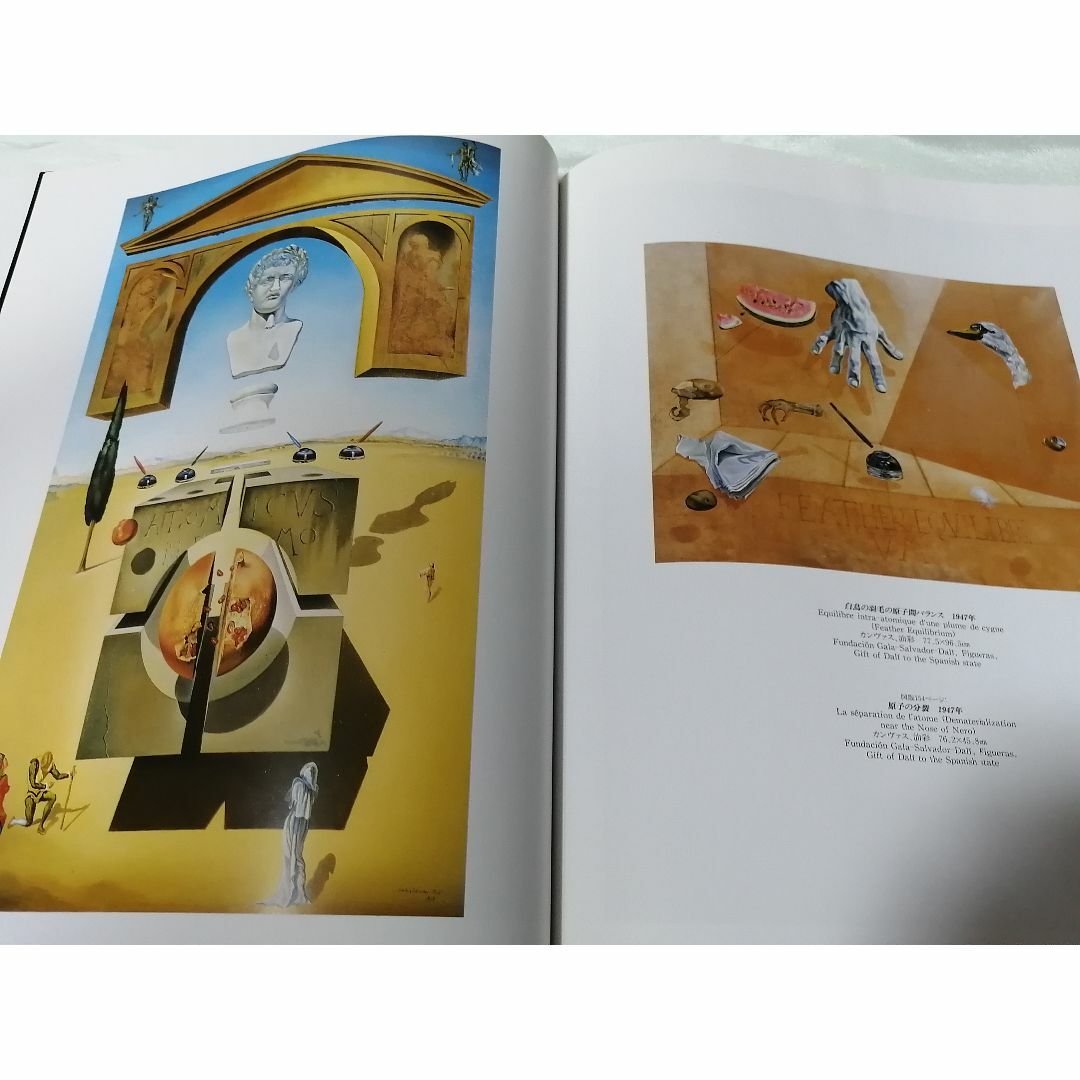 サルバドール・ダリ作品集の通販 by ヤマザブトン｜ラクマ