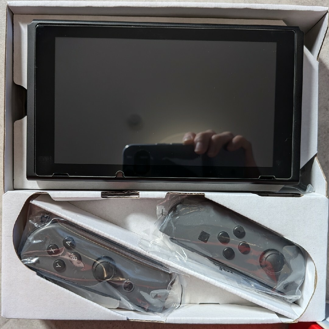 Nintendo Switch グレー 本体 + FC24 Nintendo Switch Gray