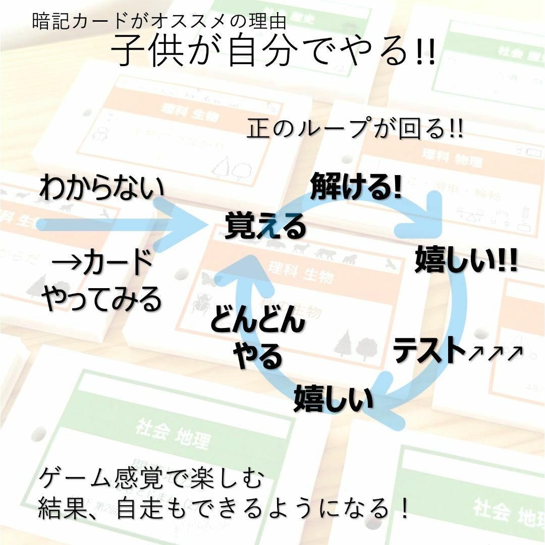 中学受験 暗記カード【5年上 社会・理科16-19回】予習シリーズ 組み