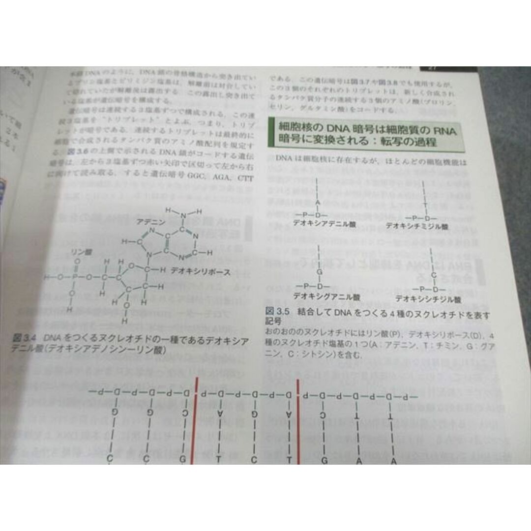 ELSEVIER ガイトン生理学 原著第13版 2018 045M3Dの通販 by ブックス