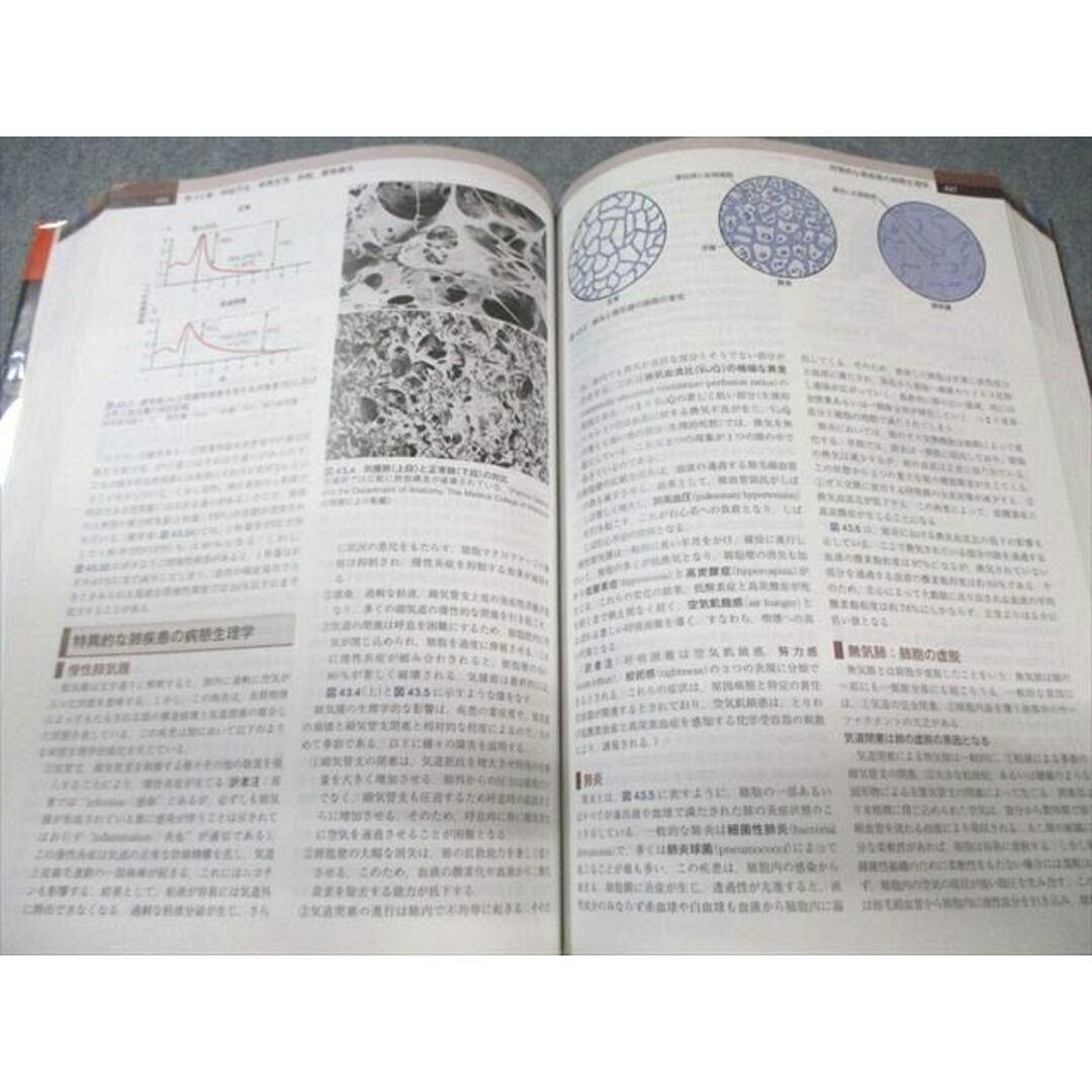 ELSEVIER ガイトン生理学 原著第13版 2018 045M3Dの通販 by ブックス