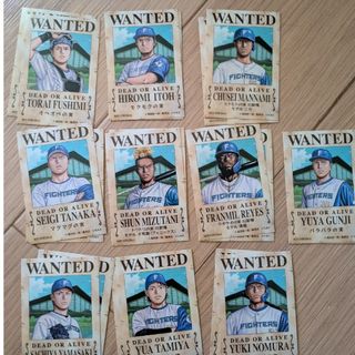 北海道日本ハムファイターズ - 大谷翔平サイン色紙 ファイターズ時代1