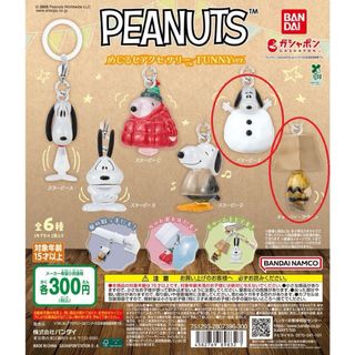 PEANUTS - 🍼様専用 増田貴久 kaws PEANUTS コラボ スヌーピー