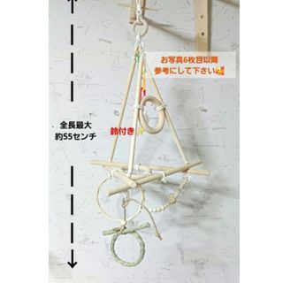 ALL BIRDS 愛鳥家専門誌 オールバードの通販 by みー shop｜ラクマ