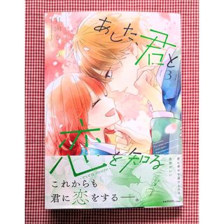 レディコミセット レディースコミック 主婦漫画雑誌 ドロドロ系の通販