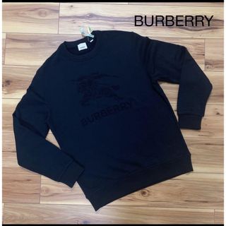 VALENTINO - 【美品 希少XS】VALENTINO ヴァレンティノ スエット