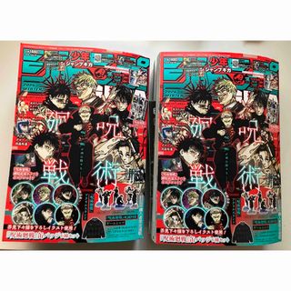 小学館 - sabra 2007年12月号 沢尻エリカの通販 by takakun325's shop