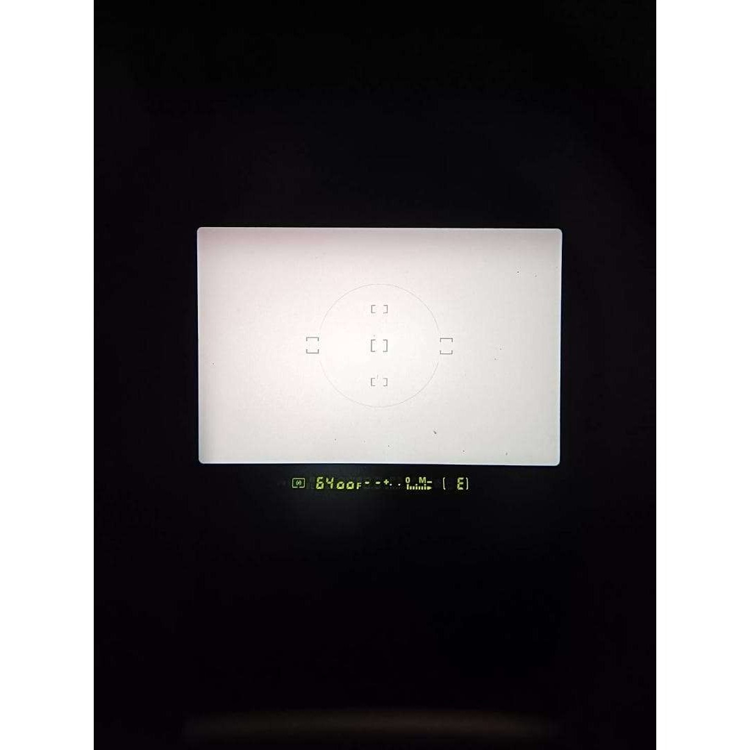 良品 NIKON ニコン F100 フィルムカメラ 加水分解なし H042の通販 by