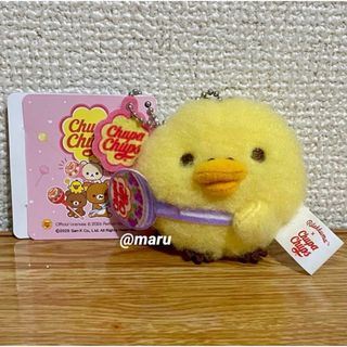 ポケモン ぬいぐるみ For You! ピカチュウとグラシデアのブーケの通販