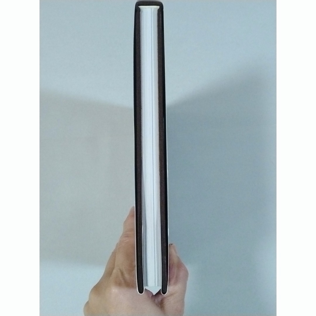 希少本 ケース付き」 BURST GANG 高嶋元能 1999年 オリジナルの通販 by