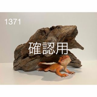 爬虫類ウェットシェルター シェルターの通販 by Dorothy｜ラクマ