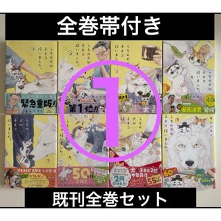 小学館 - 全巻セット☆「チ。―地球の運動について― 」魚豊☆1巻〜8巻