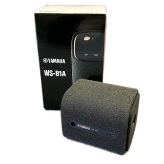 ヤマハ - 【フルメンテ済・極美品】レシーバーの頂点 YAMAHA CR-1000の