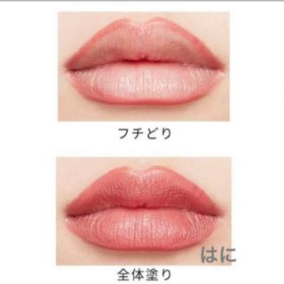 SHISEIDO (資生堂) - インウイ ザ リップライナー BR775の通販 by しの