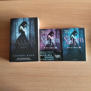 新品 洋書 クロスステッチ デイゴワン FLEURS DE DIGOIN の通販 by