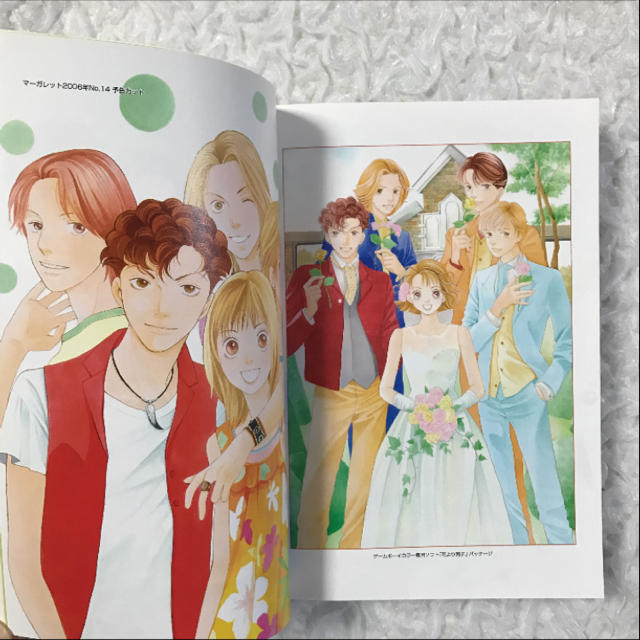 花より男子 20巻 最終巻 完全版 vol.20の通販 by nonno｜ラクマ