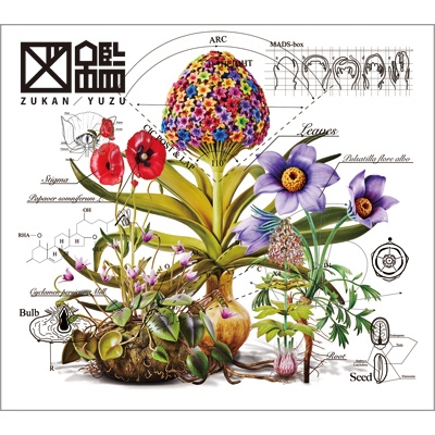 図鑑 【初回生産限定盤】(+DVD) : ゆず | HMV&BOOKS online - TFCC