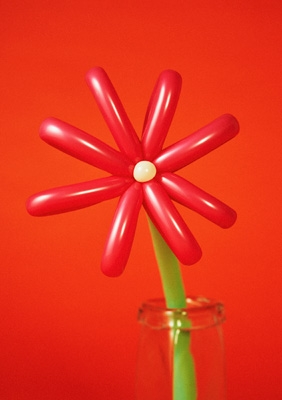 MACAROCK'N LIVE-1 (2DVD) : マカロニえんぴつ | HMV&BOOKS online